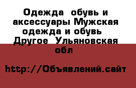 Одежда, обувь и аксессуары Мужская одежда и обувь - Другое. Ульяновская обл.